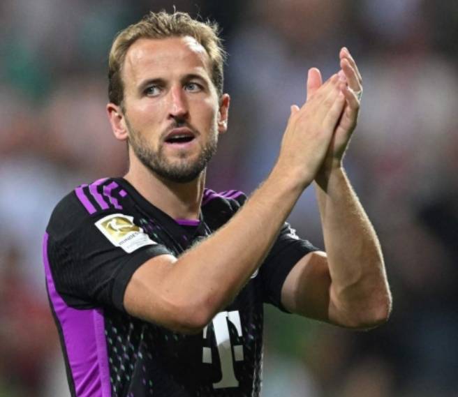 该村采用了 该村采用了